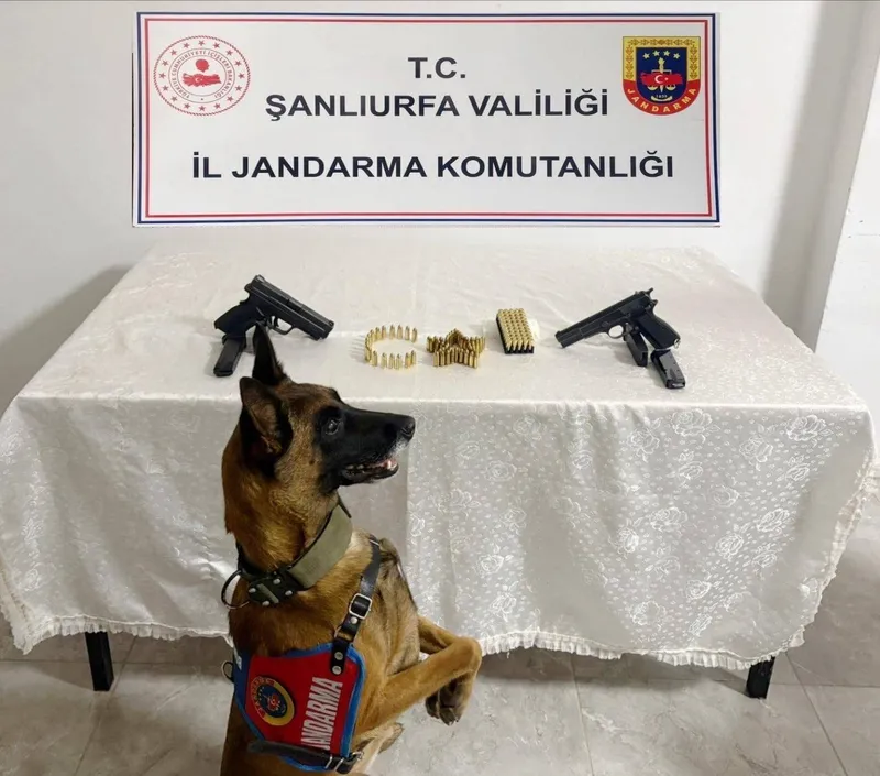 Şanlıurfa’da silah kaçakçılığı operasyonu: 8 gözaltı

