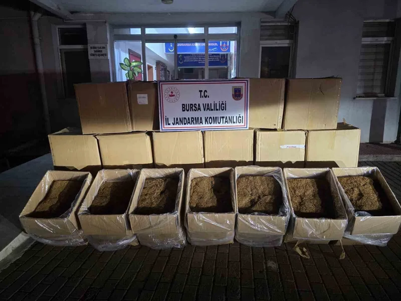 Bursa’da 750 kilogram kaçak tütün ele geçirildi

