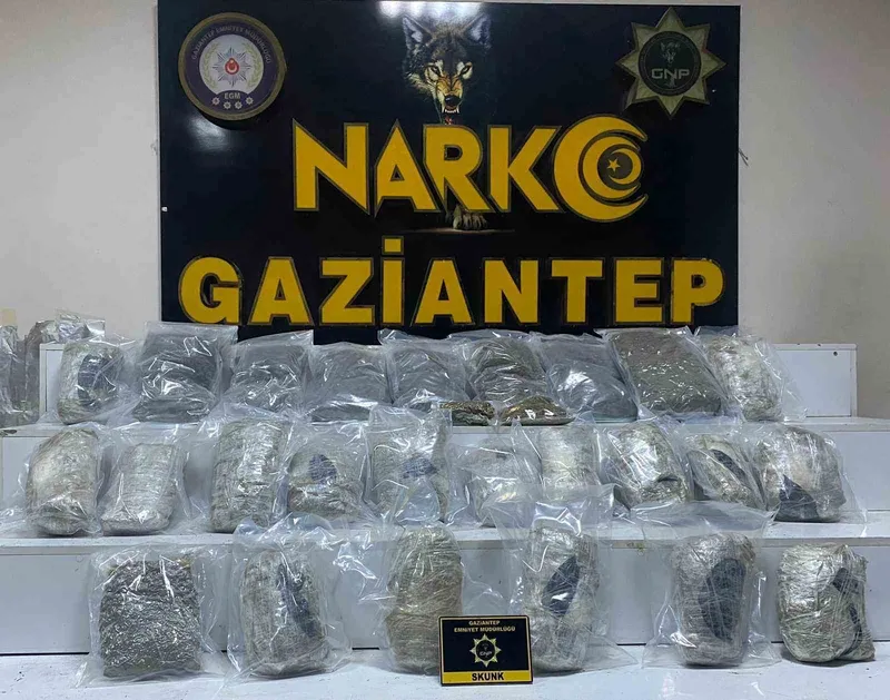 Gaziantep’te 13 kilo skunk ele geçirildi

