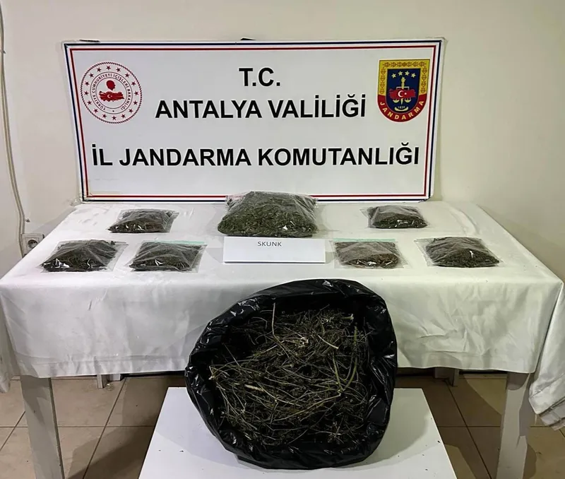 Alanya’da uyuşturucu operasyonu: 800 gram uyuşturucu ele geçirildi
