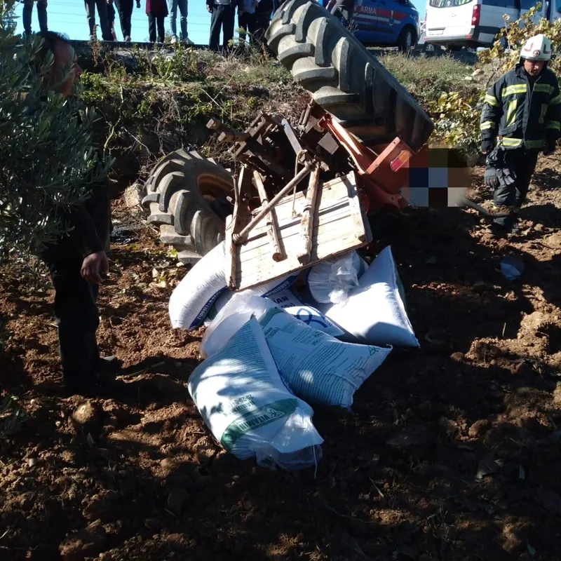 Gübre taşıyan traktör devrildi, sürücü altında kaldı
