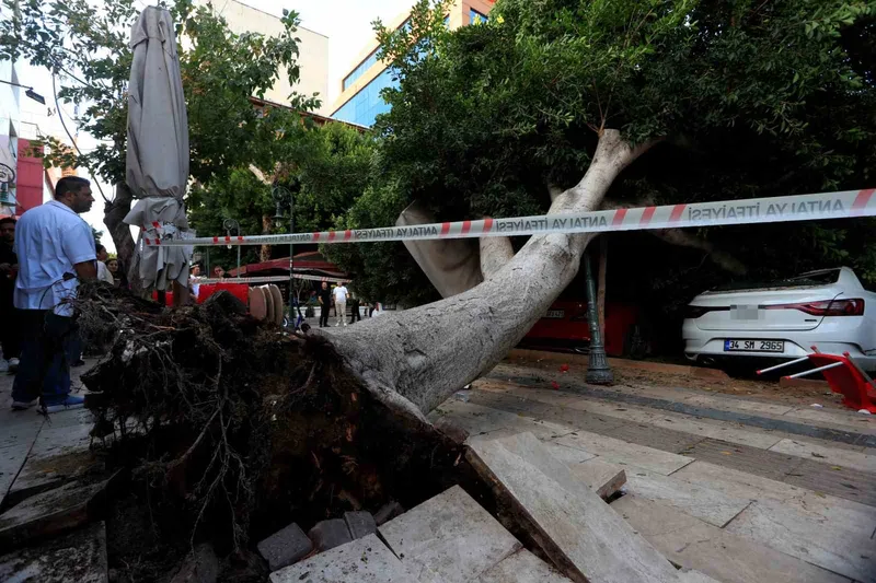 Antalya’da faciadan dönüldü: Araçların üzerine devrilen ağacın altında kalmaktan son anda kurtuldu
