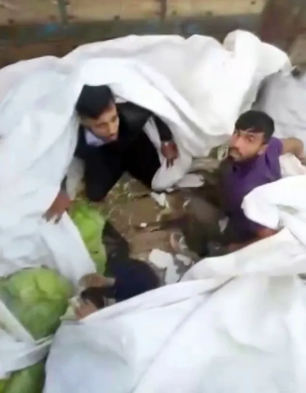 Lahana yüklü tırdan kaçak göçmenler çıktı

