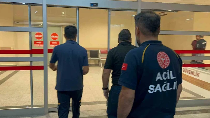 Otomobilin çarpıştığı 2 yaya yaralandı
