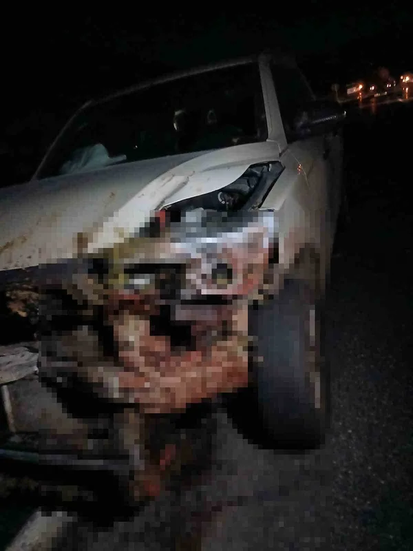 Elazığ’da kamyonet sürüye çarptı: 30 küçükbaş hayvan telef oldu
