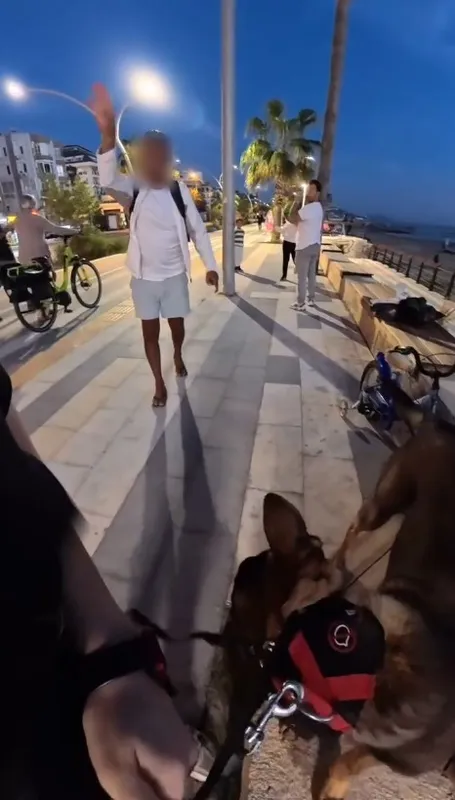 Bankta köpeğiyle oturan yerleşik yabancı kız çocuğu hayatının şokunu yaşadı
