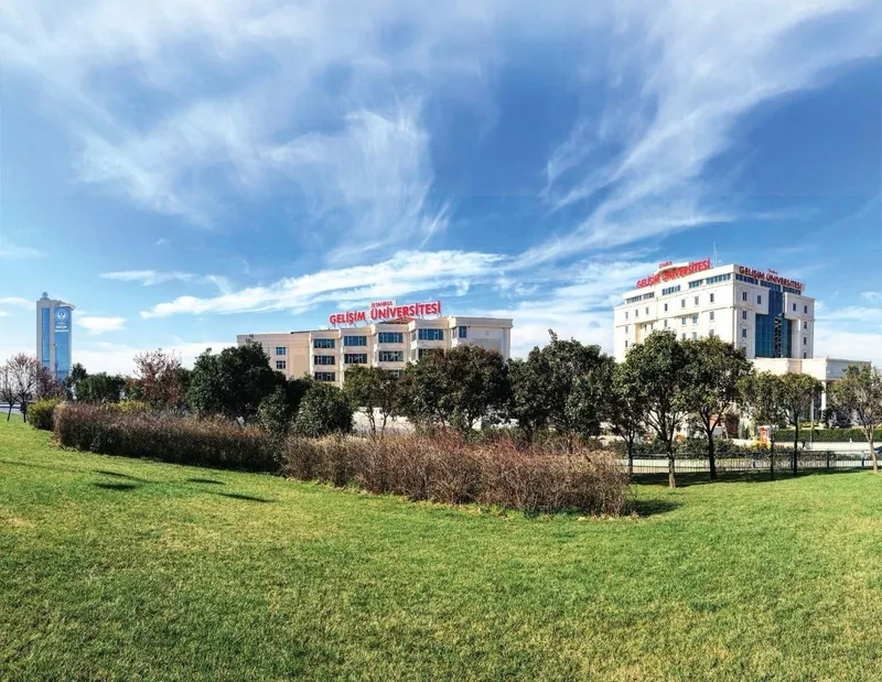 Hava kirliliği hastalık saçıyor: Ölüm nedenleri arasında üçüncü sırada
