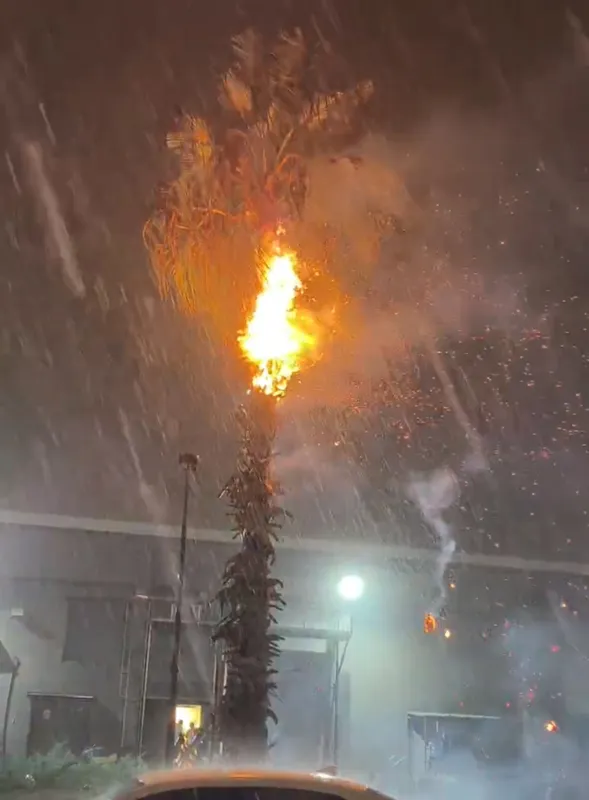 Adana’da düşen yıldırımlar yangına neden oldu
