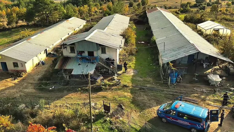 Üç yıldır aranan 29 yıl hapis hükümlüsü firari hayvan çiftliğinde yakalandı
