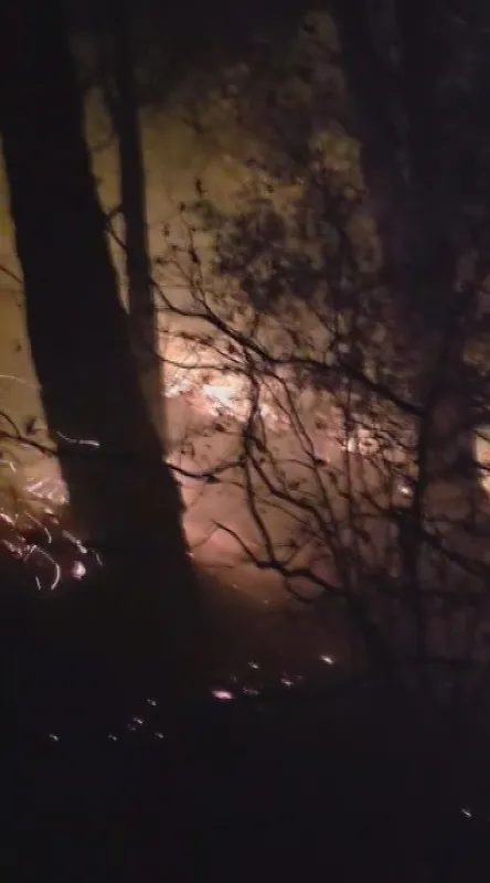 Hatay’da yıldırım düşmesiyle çıkan orman yangına müdahale devam ediyor
