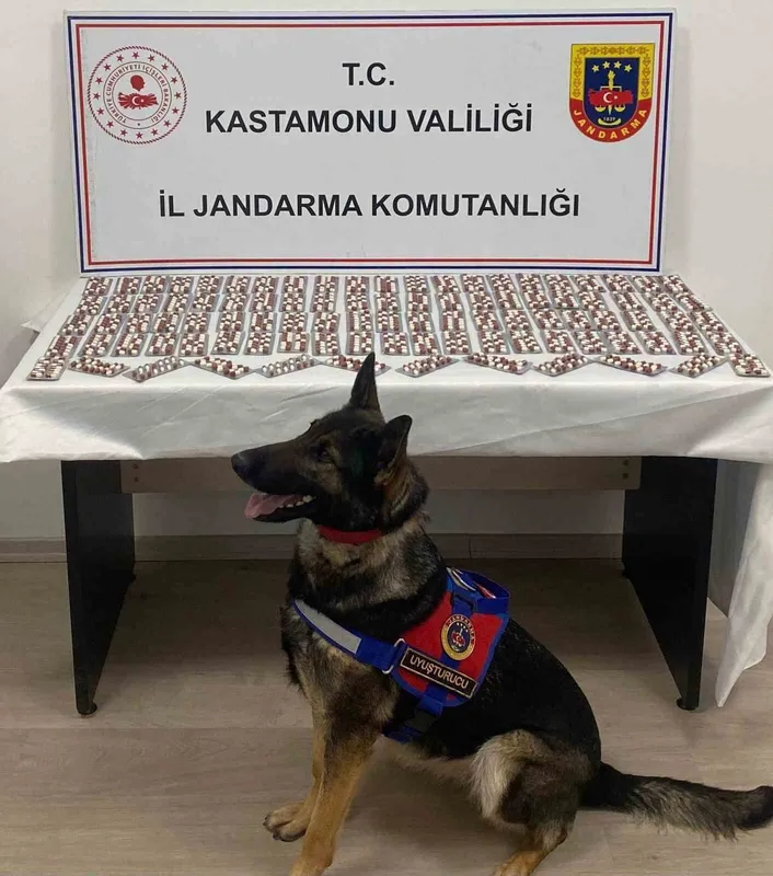 Uyuşturucuyla yakalanan şahıs utuklandı
