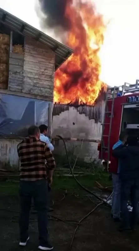 Ev ve samanlık alev topuna döndü
