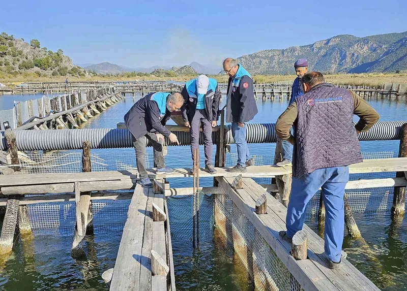 Köyceğiz Gölü, Dalyan ve İztuzu’nda denetim
