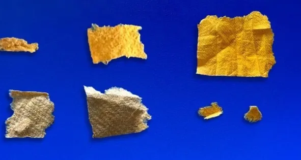 Isparta’da 2 günde 204 uyuşturucu hap ele geçirildi
