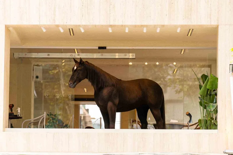 Espressolab, Jurassic Park teknolojisini şehirle buluşturdu
