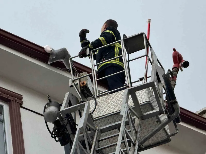 Çatıda sıkışan martıyı itfaiye kurtardı
