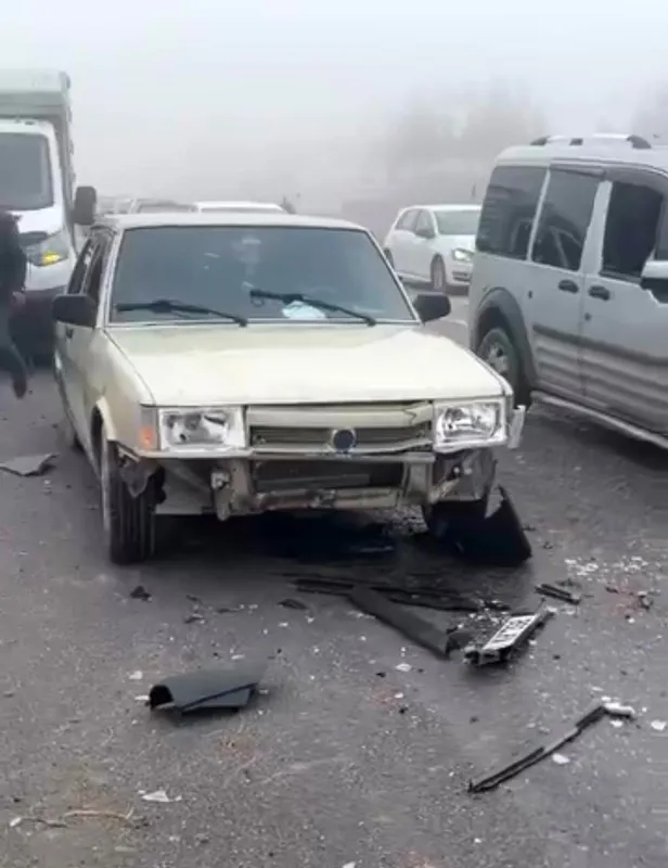 Siirt’te sis kazaya neden oldu: 3 koyun telef oldu
