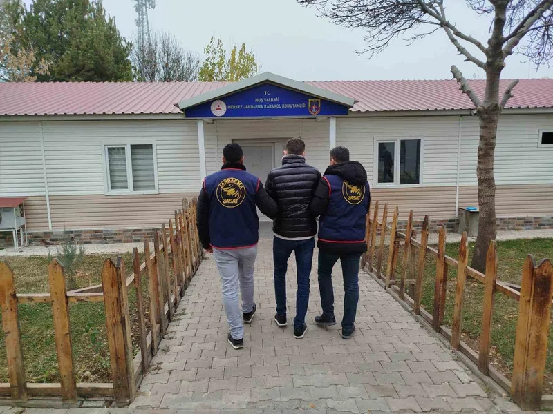 Muş’ta dolandırıcılık suçundan aranan hükümlü yakalandı
