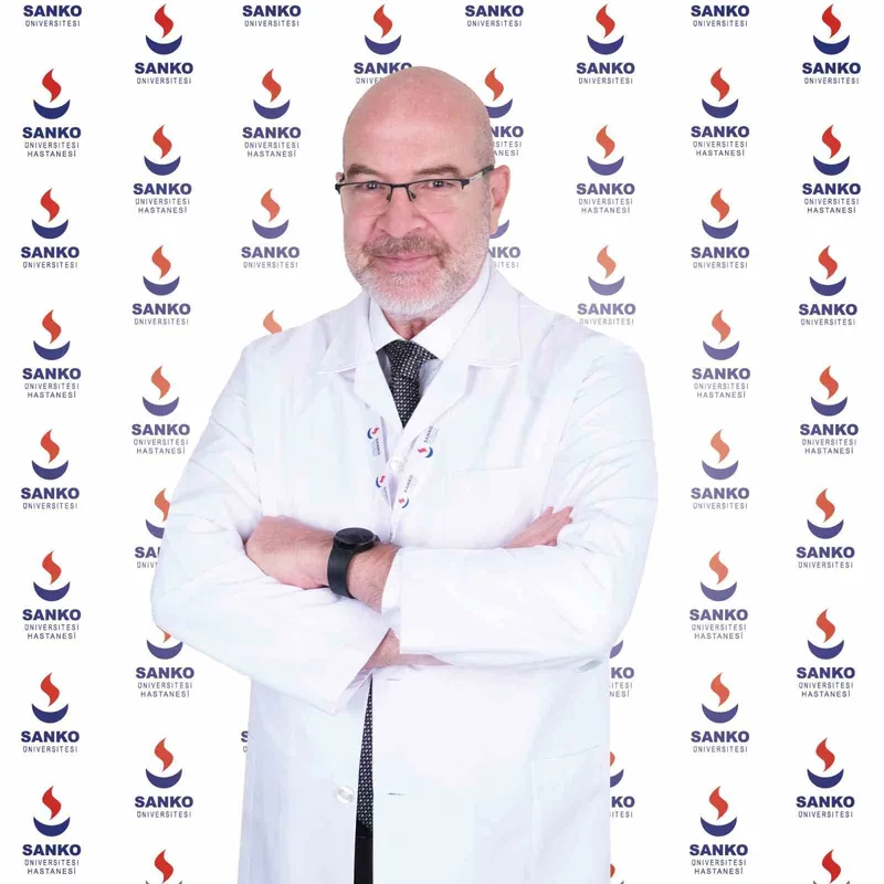 Prof. Dr. Ahmet Balık: 