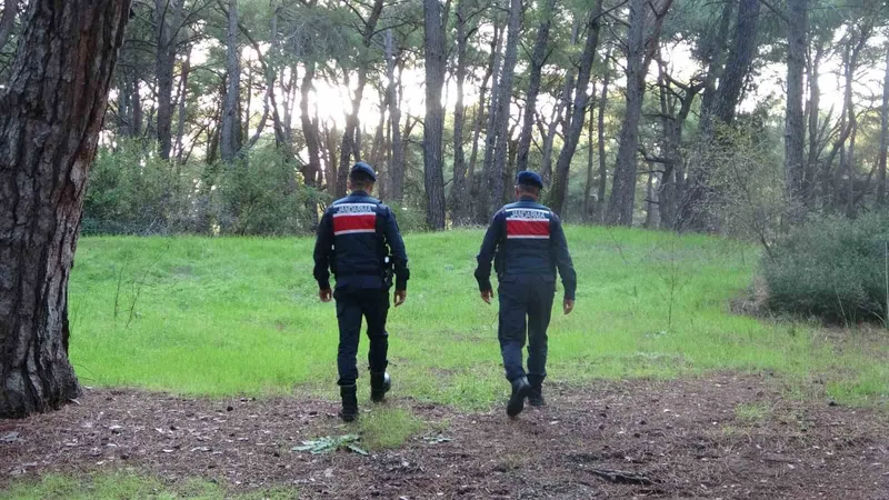 Jandarmadan ormanlık alanlarda kangal ve ateş nöbeti
