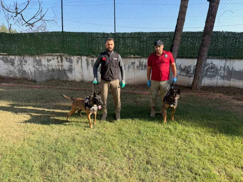 Hector ve Mailo, Batman’da uyuşturucu tacirlerinin korkulu rüyası oldu
