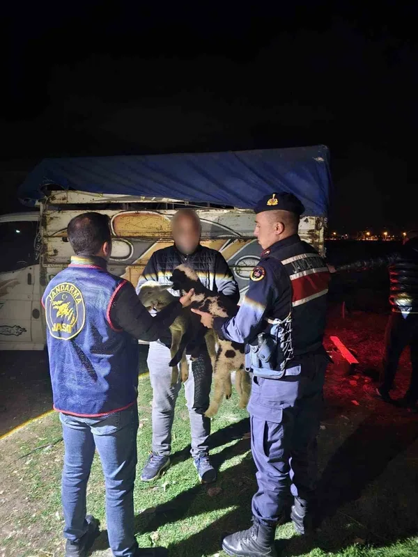 Küçükbaş hayvan çalan 4 kişiyi JASAT yakaladı
