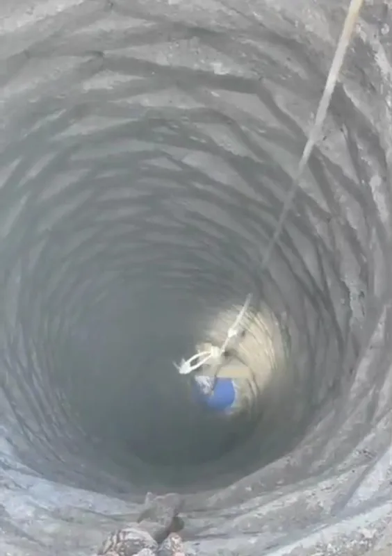 Batman itfaiyesi 20 metrelik kuyuya düşen horozu kurtardı
