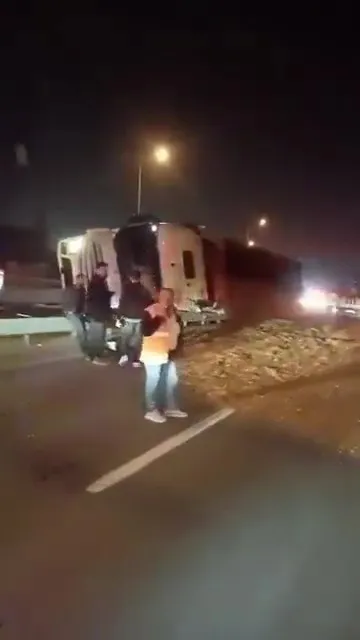 Virajı alamayan yonga yüklü tır devrildi
