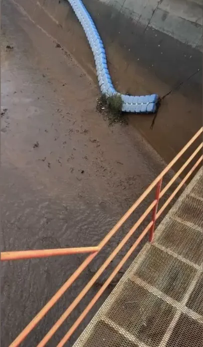 Osmaniye’de baraj kapakları açıldı, yüzlerce balık telef oldu
