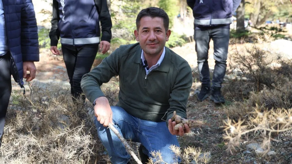 Kilosu etle yarışıyor: Japonya