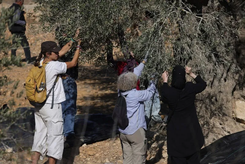 İsrail, geçtiğimiz ay Batı Şeria’da 2 bin 350 saldırı gerçekleştirdi
