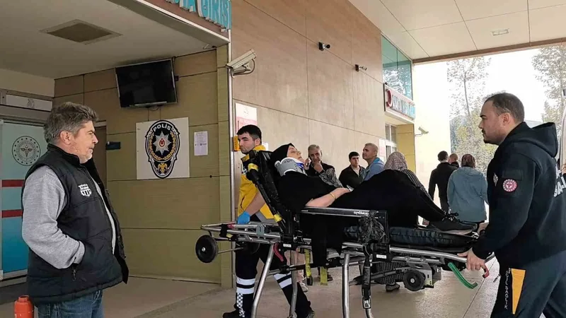 Eşine otomobil kullanmayı öğretirken şarampole uçtular
