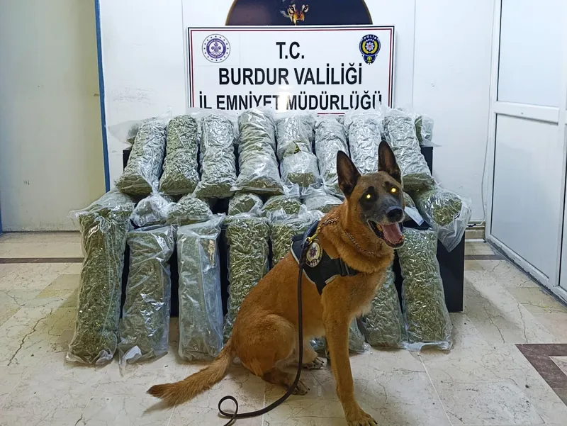 Burdur’da 36 kilo skunk maddesi ele geçirildi, operasyon görüntülüleri film sahnelerini aratmadı
