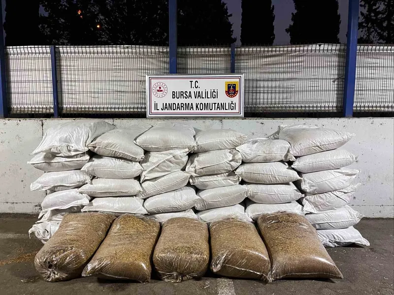 Jandarmadan kaçak sigara operasyonu
