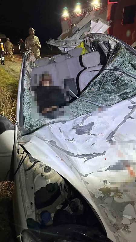 Diyarbakır’da iki otomobil ile at çarpıştı: 1 ölü, 7 yaralı
