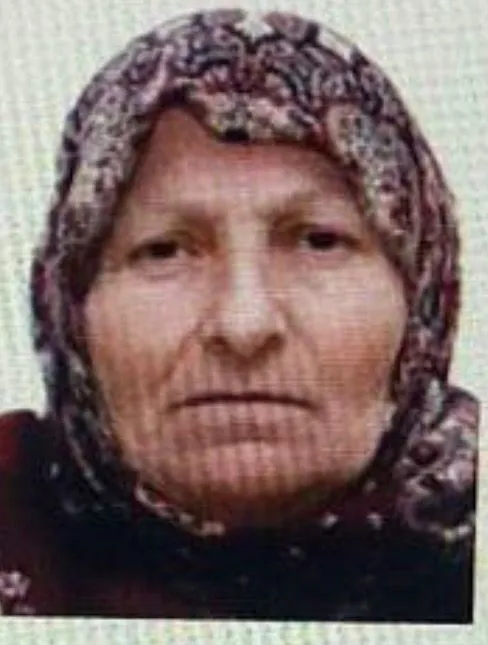 Bilecik’te kaybolan yaşlı kadını jandarma buldu
