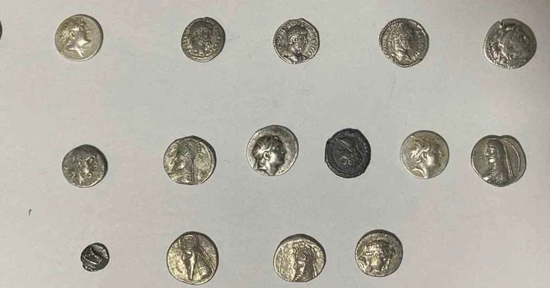 Hatay’da 26 sikke kargo ile göndermek üzereyken ele geçirildi
