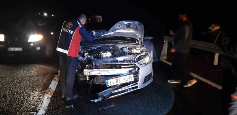 Mardin’de otomobilin çarptığı at telef oldu
