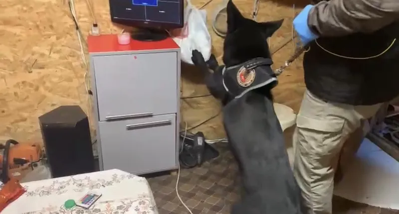 Bağ evindeki uyuşturucu düzeneğini ’Tony’ ortaya çıkardı
