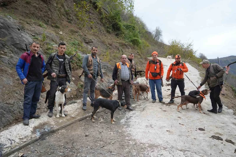 Samsun’da domuz alarmı: Avcılığa 