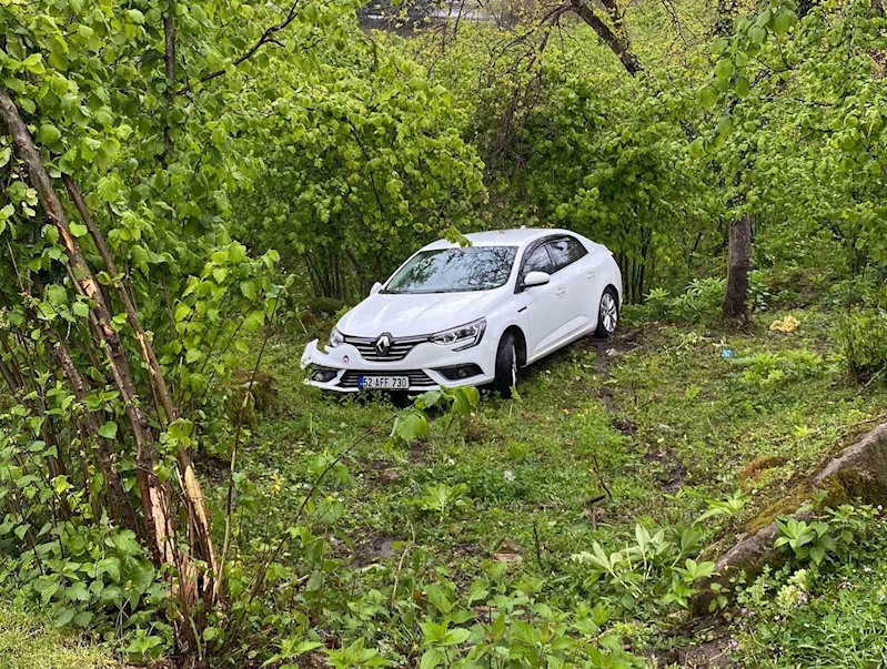 Ordu’da otomobil fındık bahçesine uçtu
