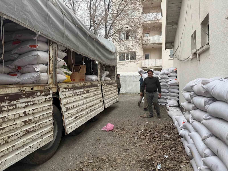 Diyadin’de çiftçiye korunga tohumu desteği
