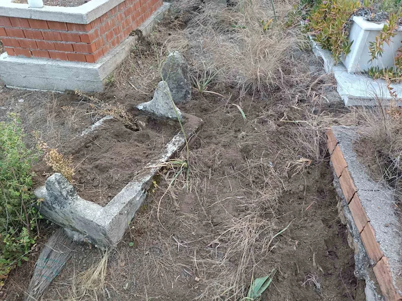 Yaban domuzları mezarlara zarar verdi, mahalleli tel örgü istedi
