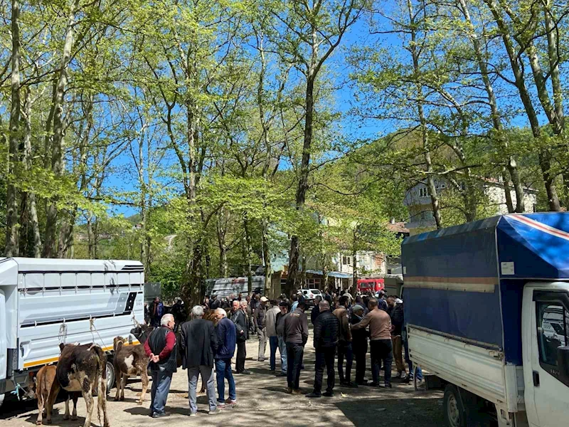 Çarşamba Pazarı’nda Kurban Bayramı hareketliliği başladı

