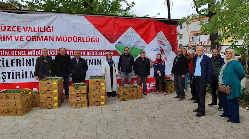 Yüzde 75’i bakanlık destekli fideler çiftçilere dağıtıldı
