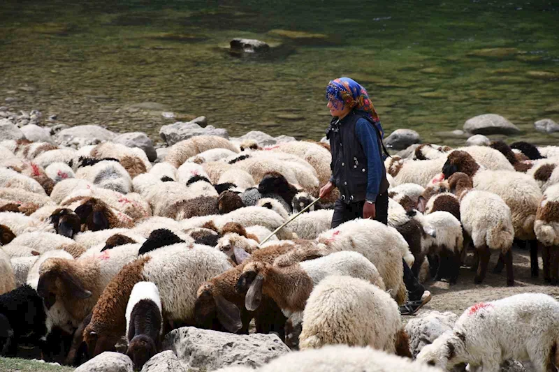 Bir çocuğun sessiz çığlığı: 