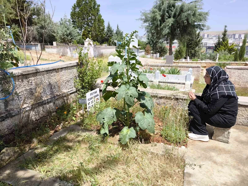 Feray Şahin, Anneler Günü’nde mezarı başında anıldı
