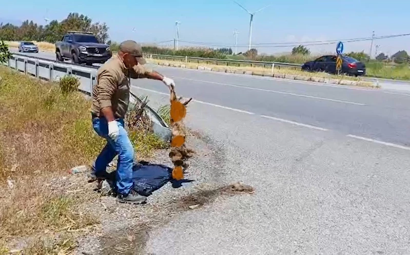 Başkan Sürücü: 