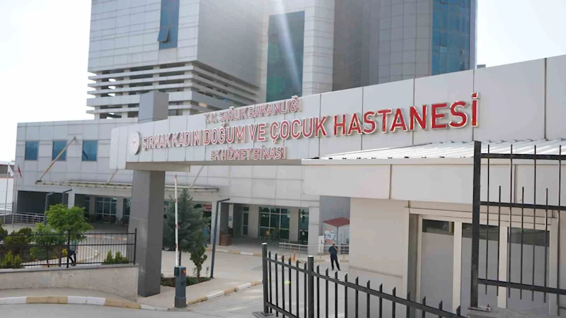Şırnak’ın ebeleri anneliği anlattı
