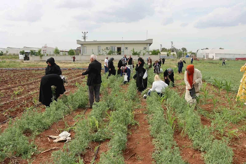 Şanlıurfa’da emekli kadınlara 